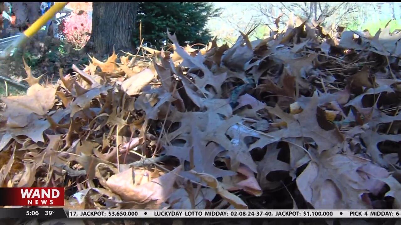 SHS students rake leaves to honor Veterans